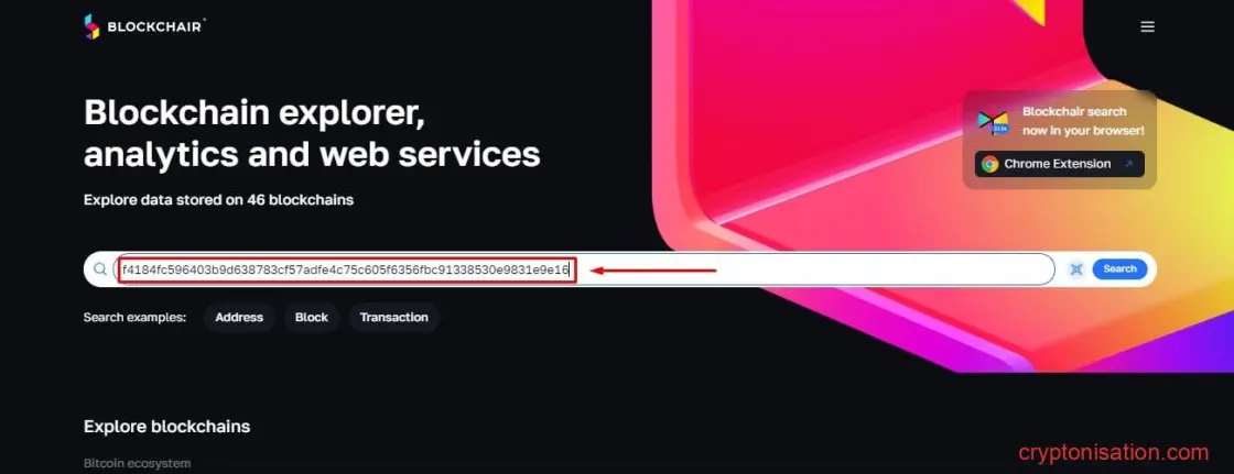 Pole wyszukiwania na stronie głównej blockchair.com